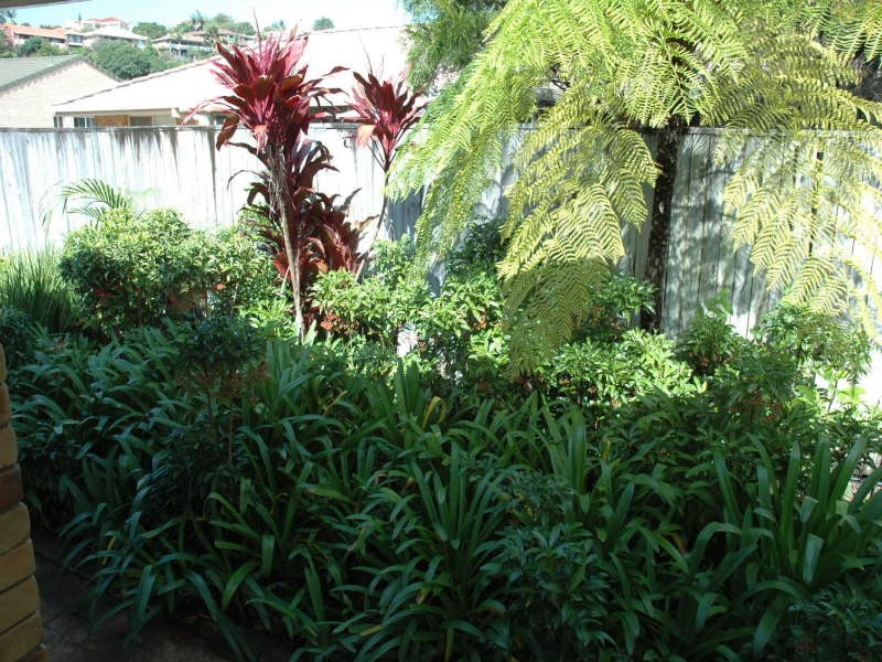 Banora Point NSW 2486