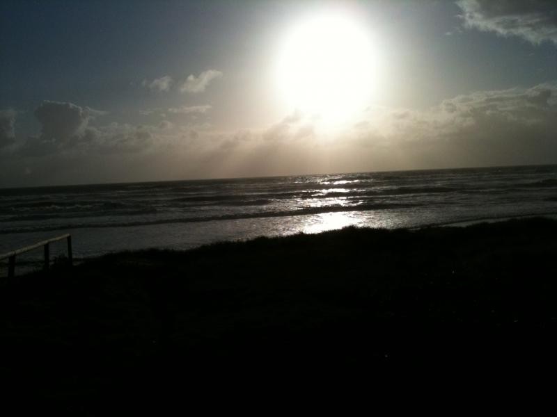 34 Albicore Street, Mermaid Waters QLD 4218