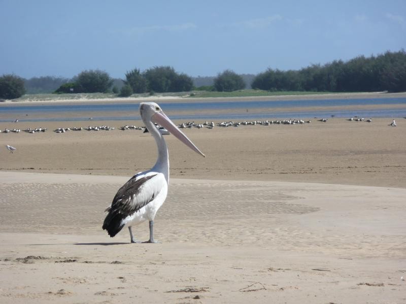 326 MARINE PARADE, Labrador QLD 4215