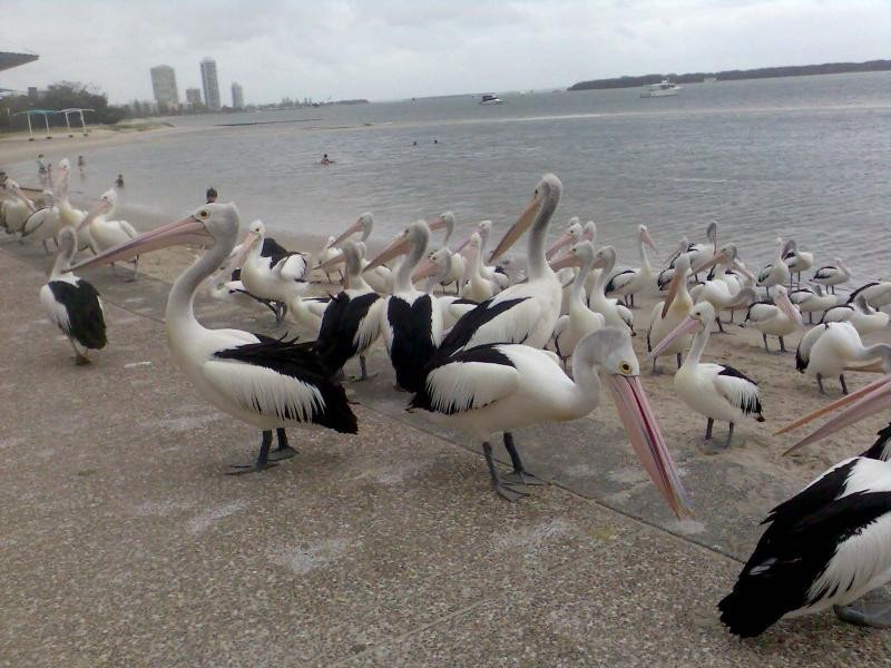 100/326 MARINE PARADE, Labrador QLD 4215