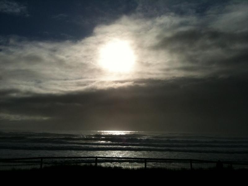 34 Albicore Street, Mermaid Waters QLD 4218