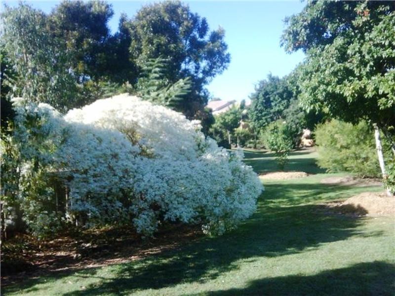 8/30 Glenefer Street, Runcorn QLD 4113