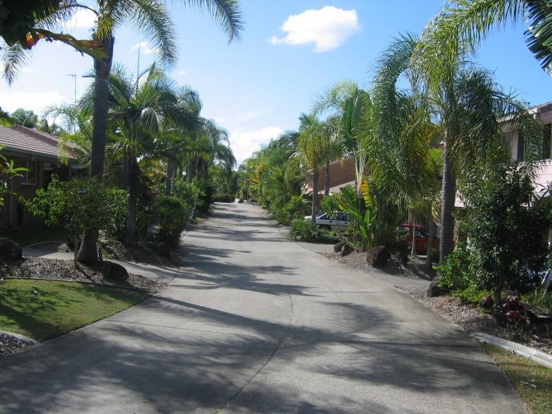 33-67 Edmund Rice Dr,, Southport QLD 4215