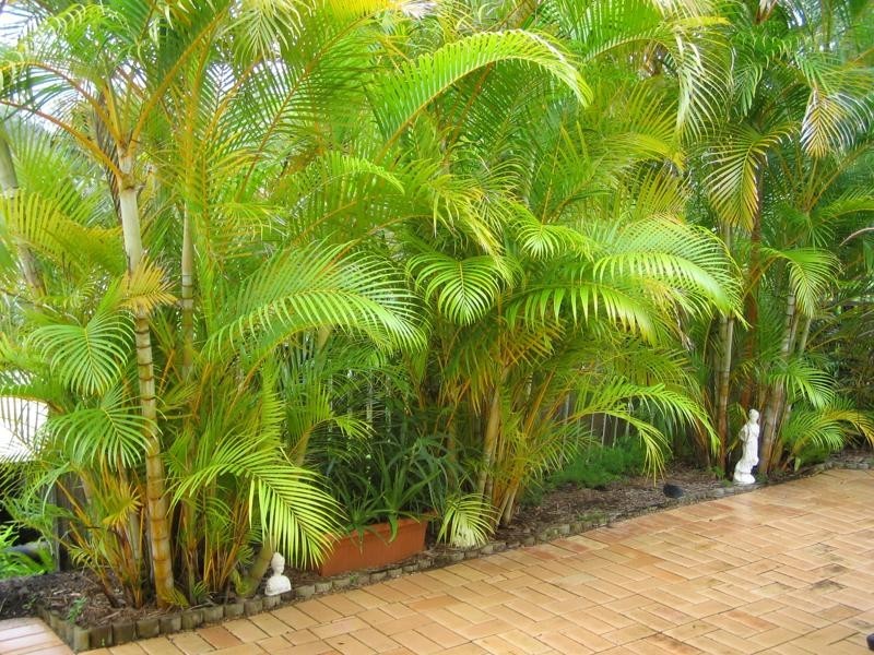 58/15 Bridgman Drive, Reedy Creek QLD 4227