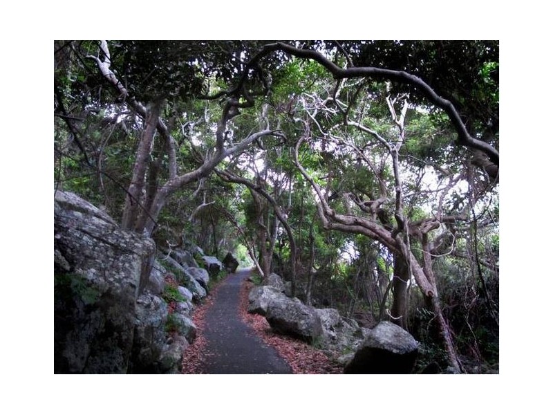 Burleigh Heads QLD 4220