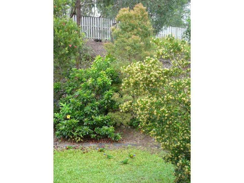 47/31 Langport Parade, Mudgeeraba QLD 4213