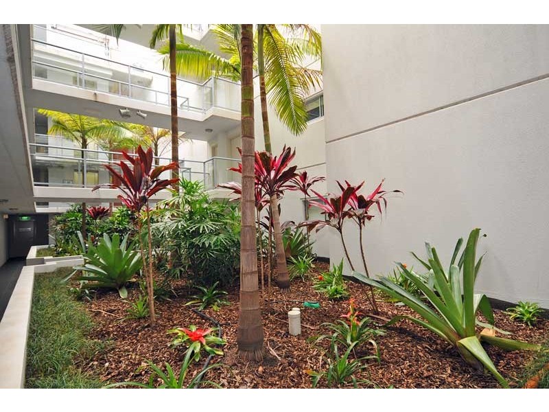 14/10 Manning St, South Brisbane QLD 4101