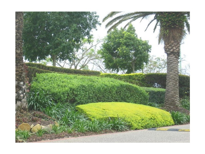 15/100 Cotlew St East, Southport QLD 4215