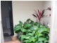 6/82-86 Mein Street, Scarborough QLD 4020