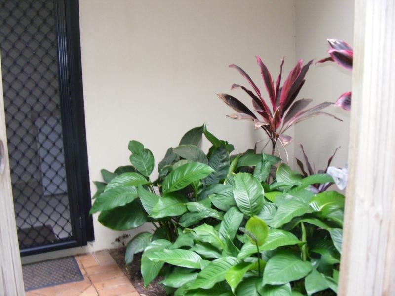 6/82-86 Mein Street, Scarborough QLD 4020