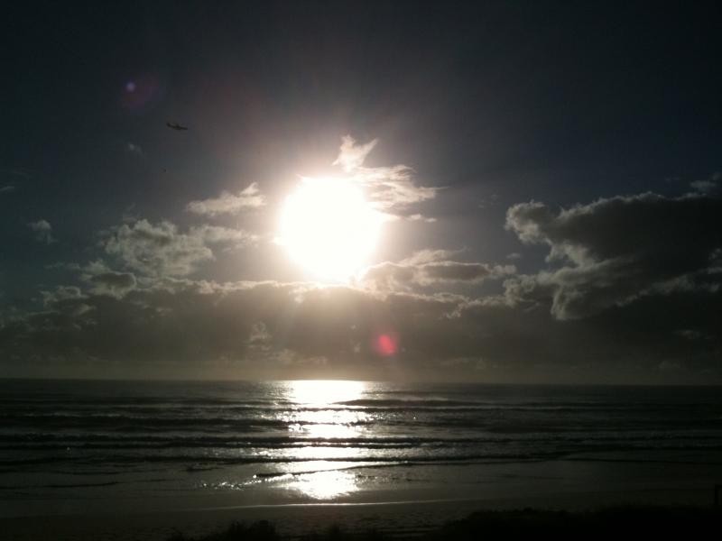 34 Albicore Street, Mermaid Waters QLD 4218