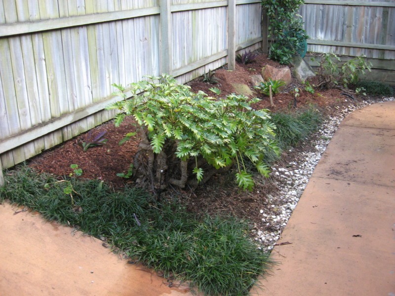 3/12 Edmondson Street, Corinda QLD 4075