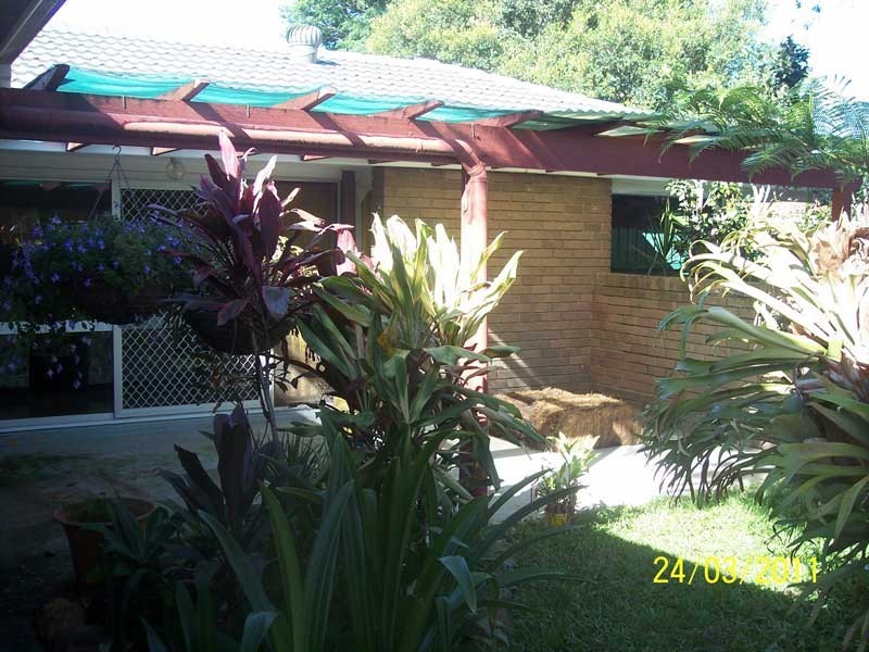 59 Silkwood Sreet, Algester QLD 4115