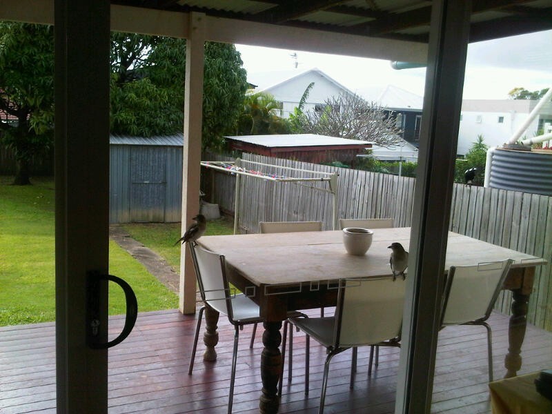 Bulimba QLD 4171