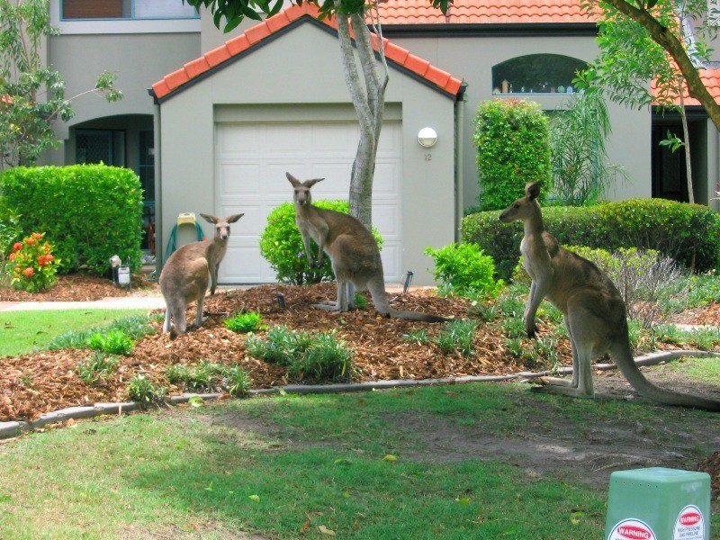 125/19 Santa Barbara Road, Hope Island QLD 4212