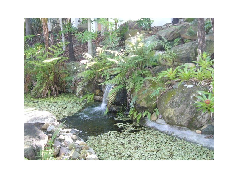 29/100 Cotlew St East, Southport QLD 4215