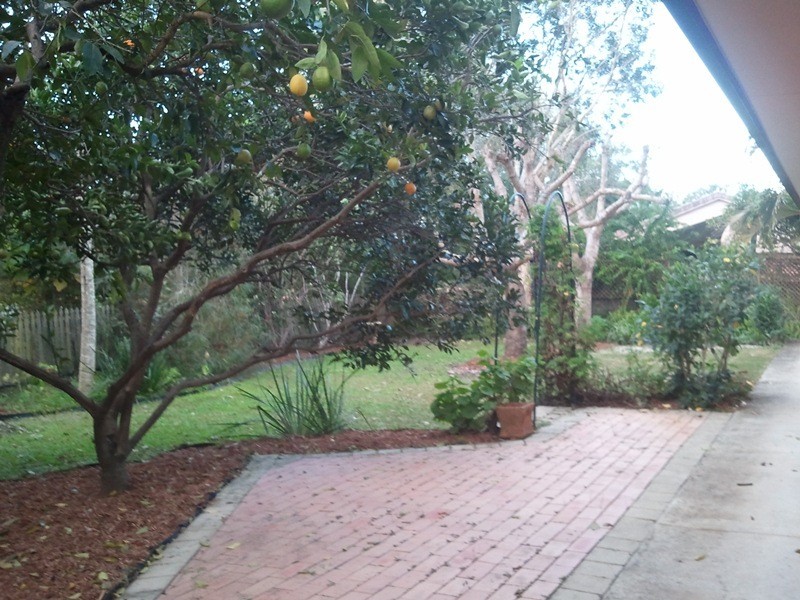 19-21 Centurion Crescent, Nerang QLD 4211