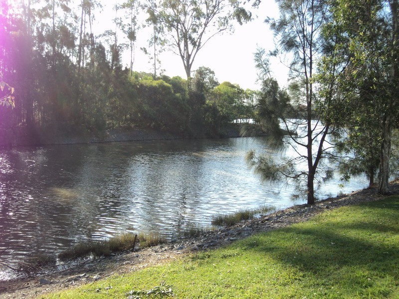 83 Yodelay Street, Varsity Lakes QLD 4227