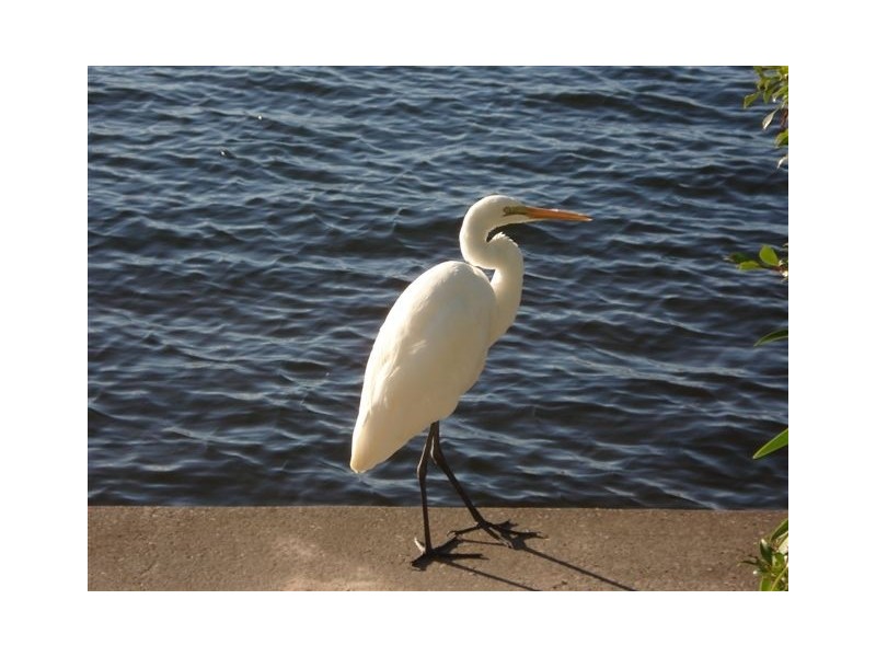 Kawana Waters QLD 4575