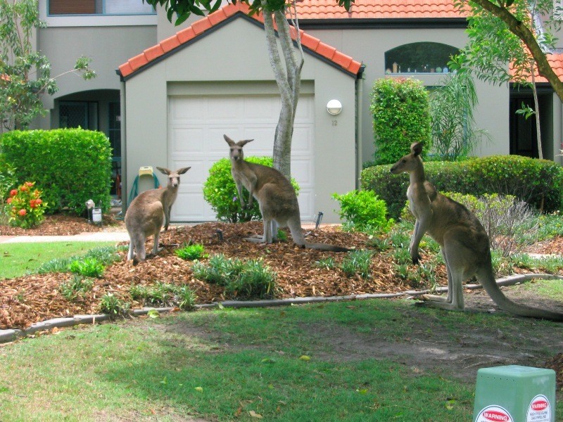 59/19 Santa Barbara Road, Hope Island QLD 4212