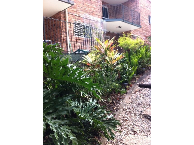 3/23 Lucinda Street, Taringa QLD 4068