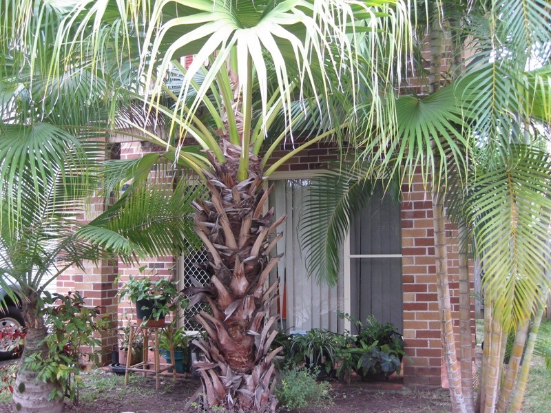 25/84 Franklin Drive, Mudgeeraba QLD 4213