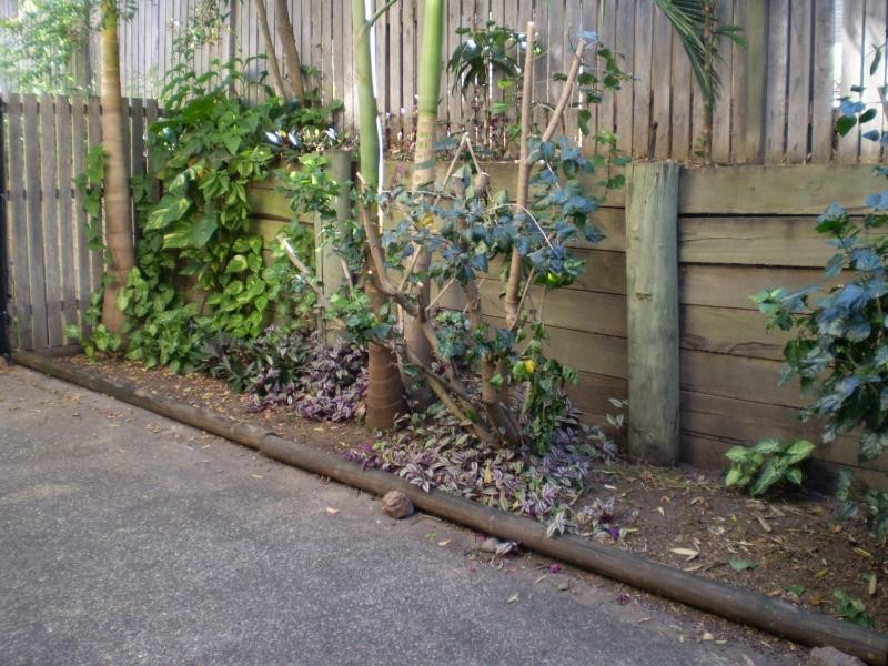 Springwood QLD 4127