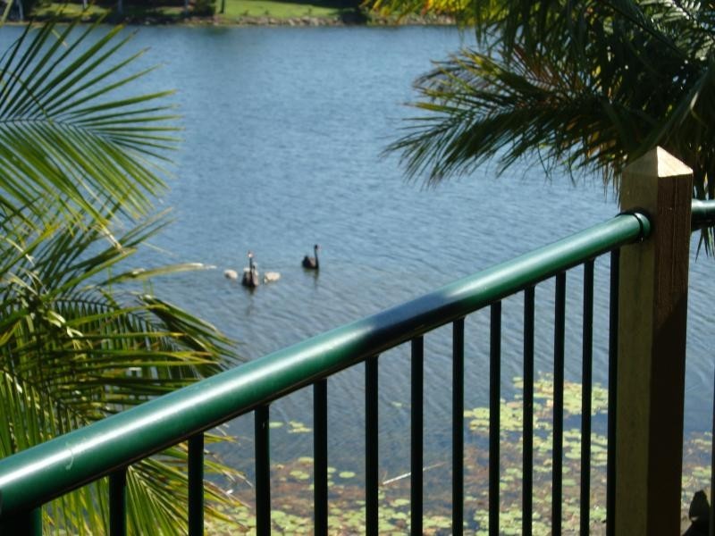 44/9 Santa Cruz Blvd, Clear Island Waters QLD 4226