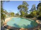 Elanora QLD 4221