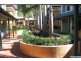 Daisy Hill QLD 4127