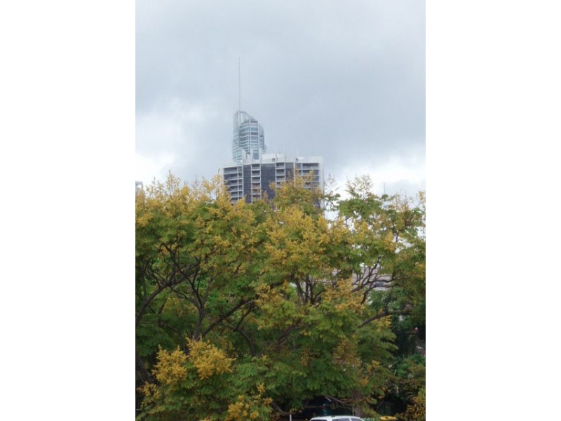 4/26 Darrambal Street, Surfers Paradise QLD 4217