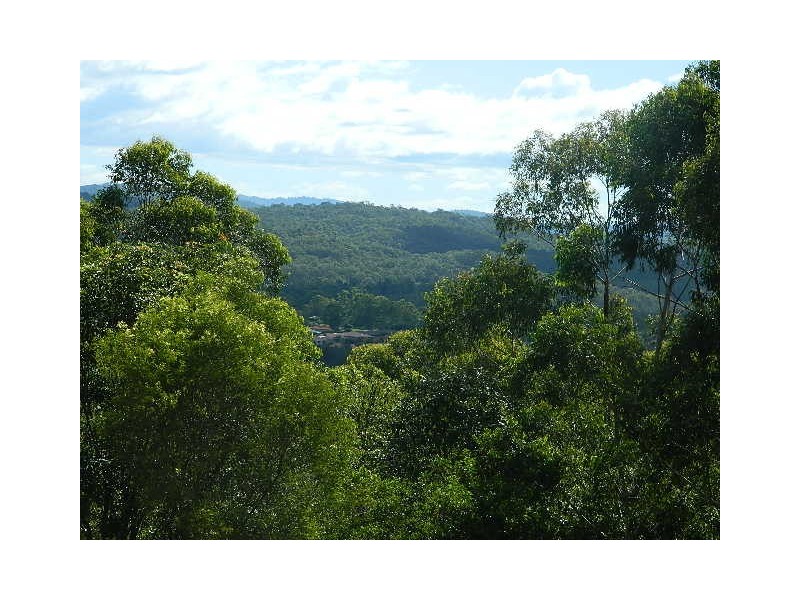 Elanora QLD 4221