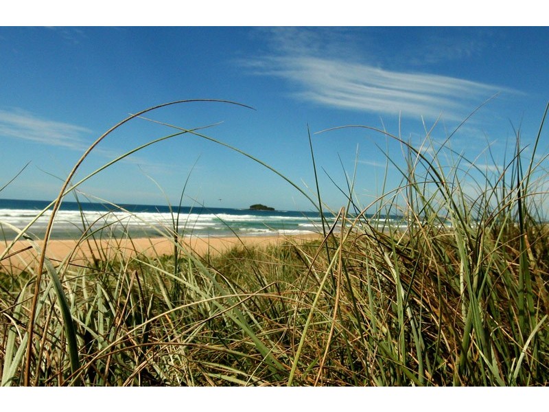 Maroochydore QLD 4558