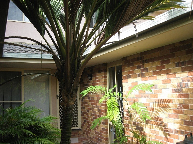 2/84 Franklin Drive, Mudgeeraba QLD 4213