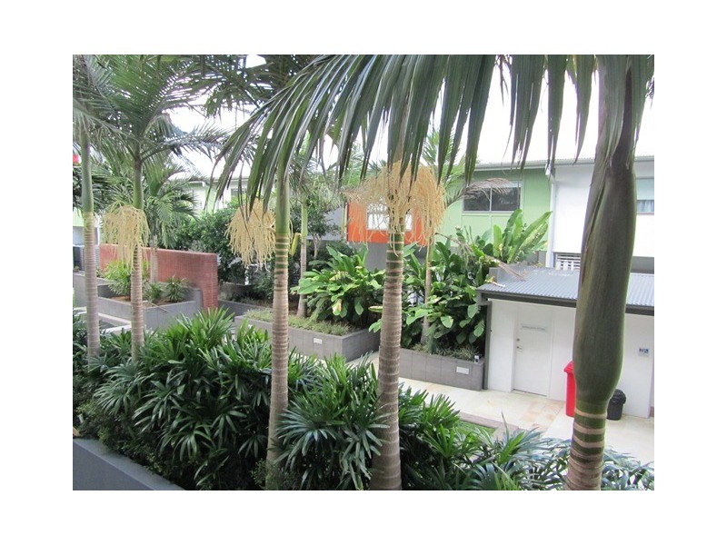 62/20 Anthony Street, West End QLD 4101