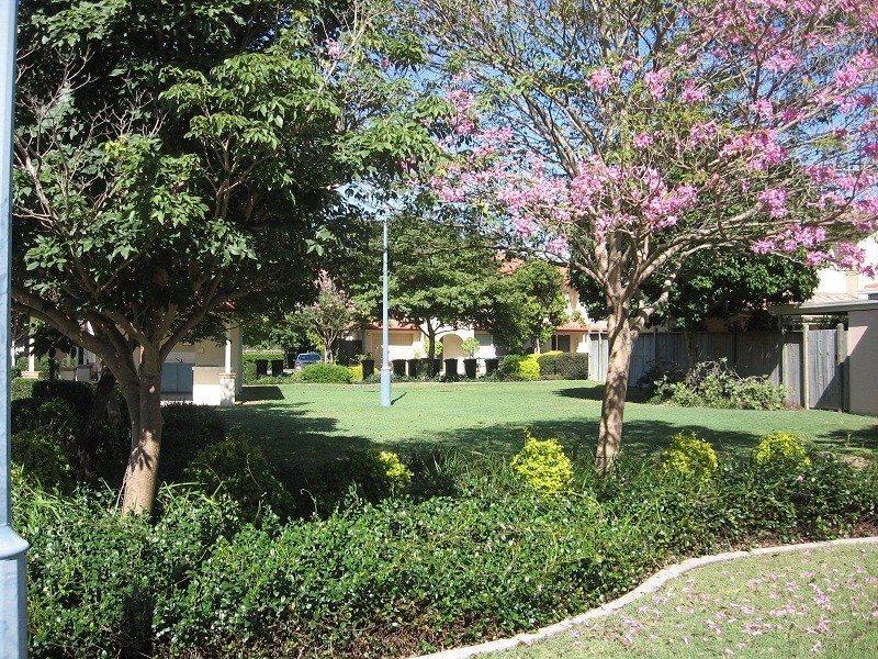 139 Pring Street, Hendra QLD 4011