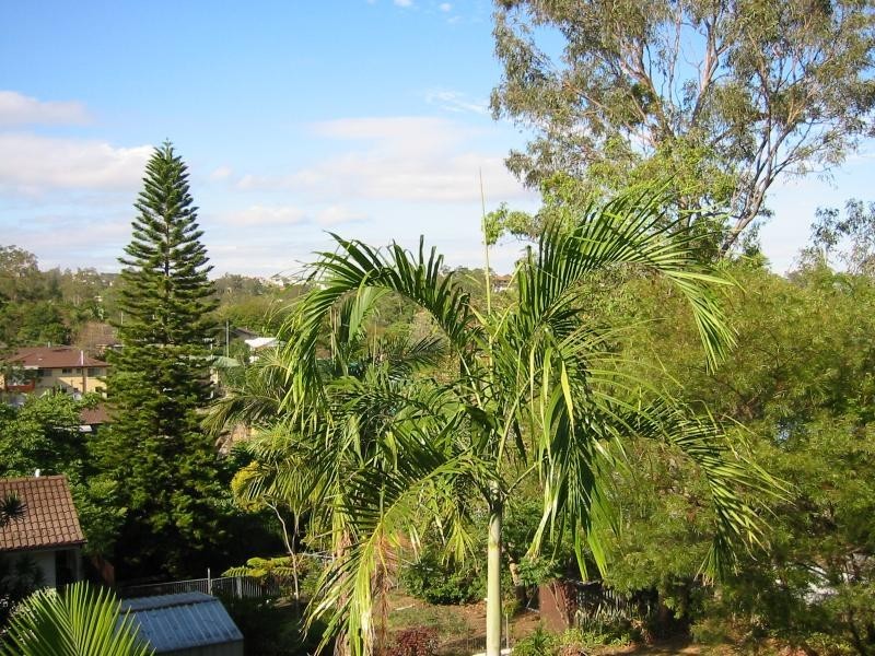 47 Moolingal St, Jindalee QLD 4074