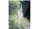 Mudgeeraba QLD 4213