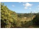 123 Woombye-Palmwoods Road, Palmwoods QLD 4555