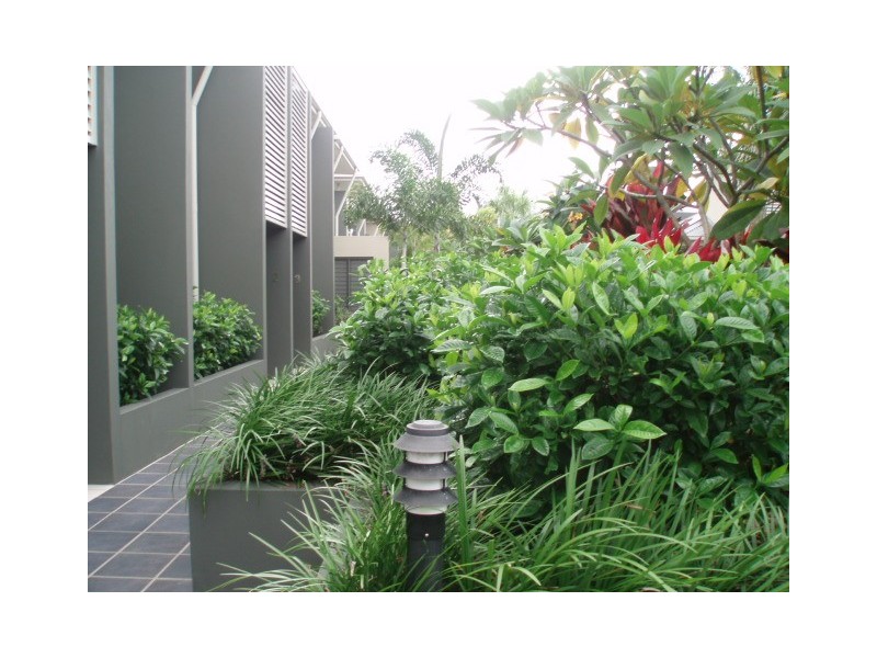 45 Bundall Rd, Surfers Paradise QLD 4217