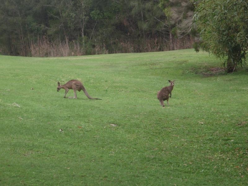 138 Hansford Rd, Coombabah QLD 4216