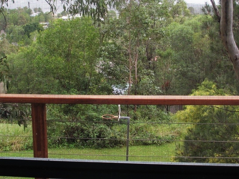 6 Crestridge Crescent, Oxenford QLD 4210