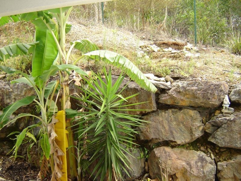 82A/2 Ridgevista Court, Reedy Creek QLD 4227