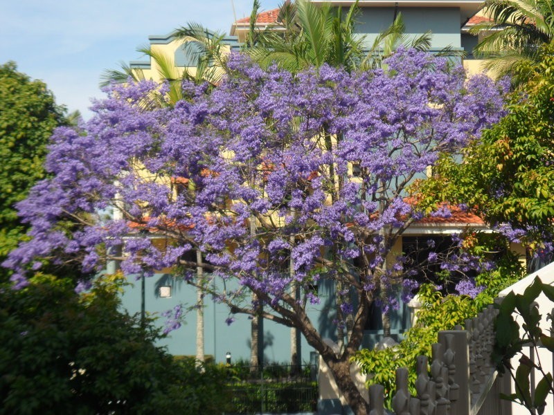 24/32-38 Newstead Terrace., Newstead QLD 4006