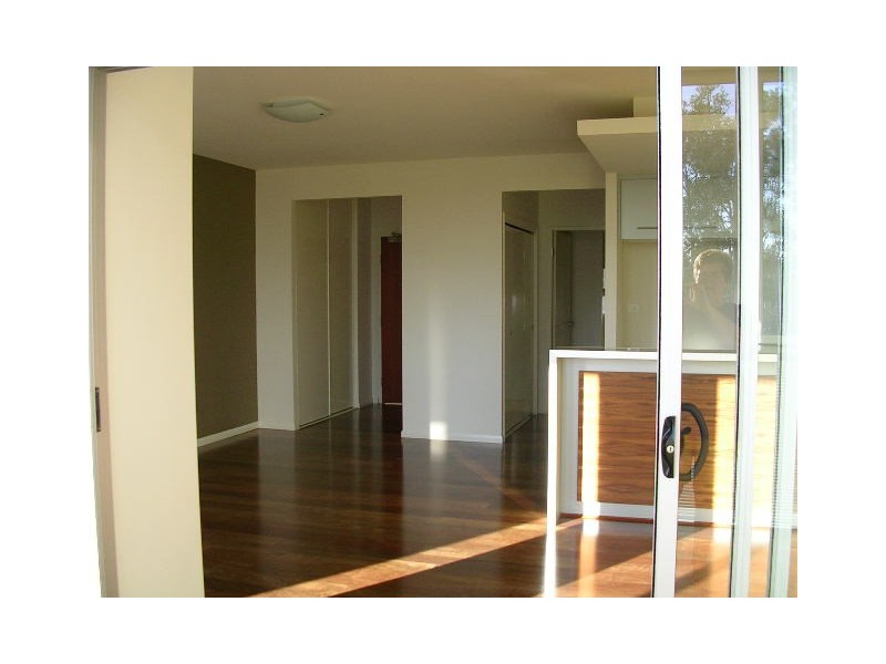 43 Love Street, Bulimba QLD 4171