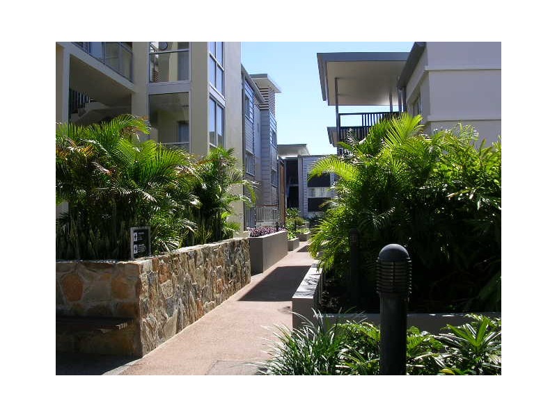 43 Love Street, Bulimba QLD 4171