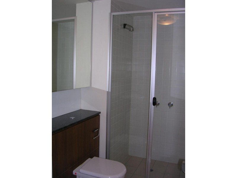 43 Love Street, Bulimba QLD 4171