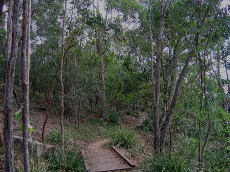 250 Sumners Road, Riverhills QLD 4074