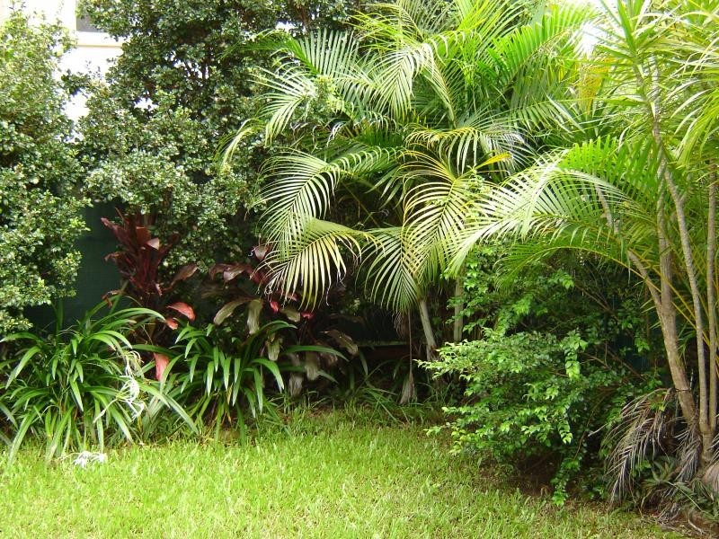 55B/2 Ridgevista Court, Reedy Creek QLD 4227