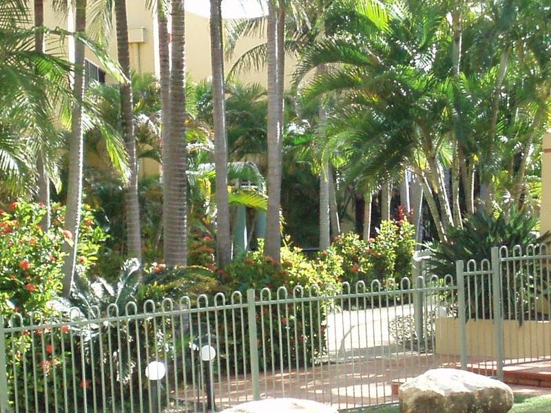 1 Great Hall Drive, Miami QLD 4220